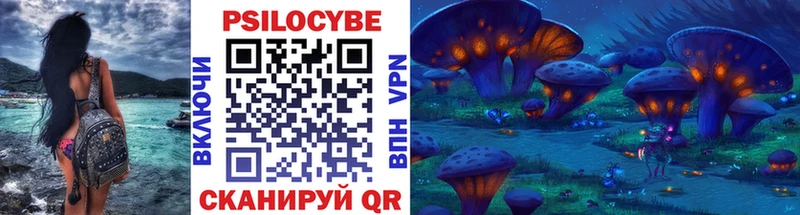 хочу   Георгиевск  Галлюциногенные грибы Psilocybe 